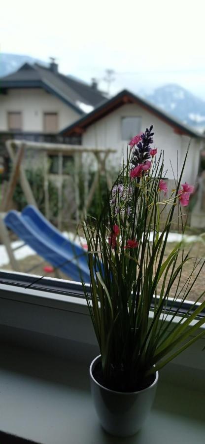 グライフェンブルクHaus Elliアパートメント エクステリア 写真